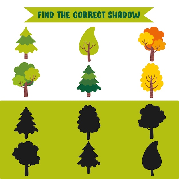 Find The Correct Shadow Activity