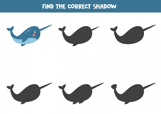 Find the correct shadow of cartoon narwhal.