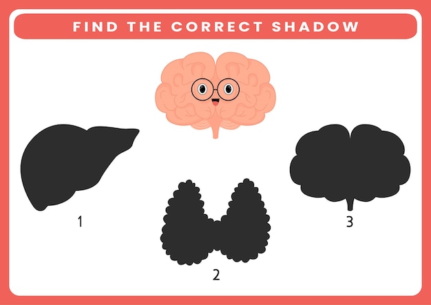 Find the correct shadow of cute cartoon human anatomy and organ worksheet for kids