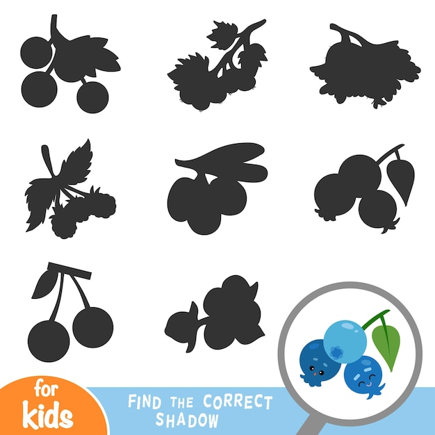 Find the correct shadow education game for children Blueberries