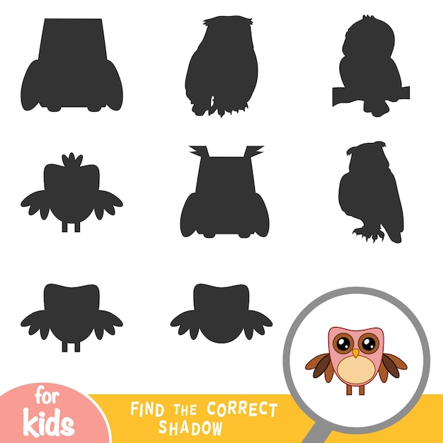 Find the correct shadow education game for children Owl