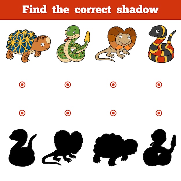 Find the correct shadow, education game for children. Vector set of animals