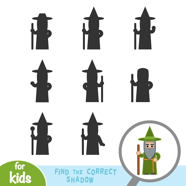 Find the correct shadow education game for children Wizard