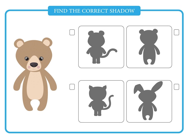 Find the correct Shadow educational activity worksheet for children