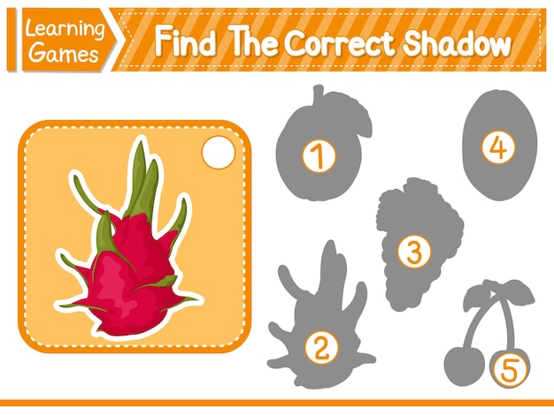 Find The Correct Shadow Find And Match The Correct Shadow Of Dragon Fruit Kids Educational Game Printable Worksheet Vector Illustration