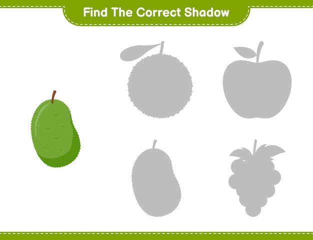 Find the correct shadow. Find and match the correct shadow of Jackfruit. Educational children game, printable worksheet 