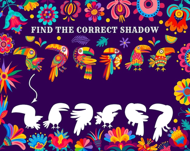 Find correct shadow kids game with mexican toucan