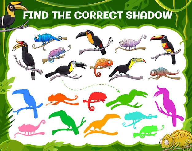 Find correct shadow, toucan, chameleon, kids game