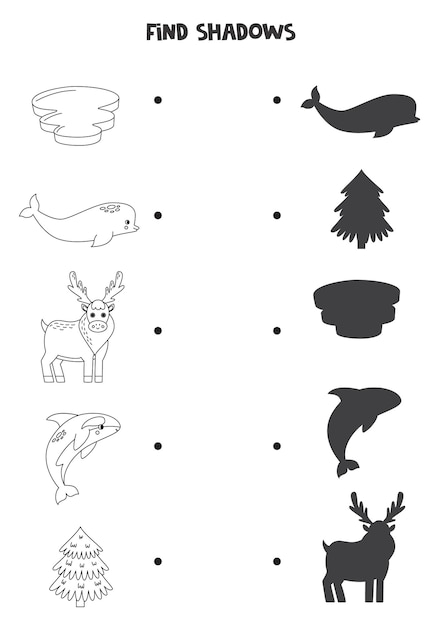 Find the correct shadows of black and white arctic animals Logical puzzle for kids