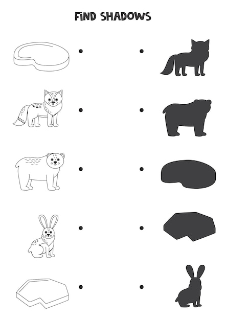 Find the correct shadows of black and white arctic animals Logical puzzle for kids