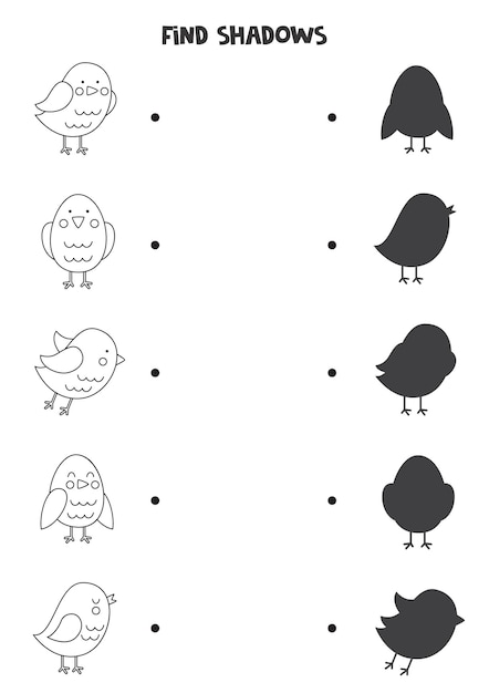 Find the correct shadows of black and white birds Logical puzzle for kids