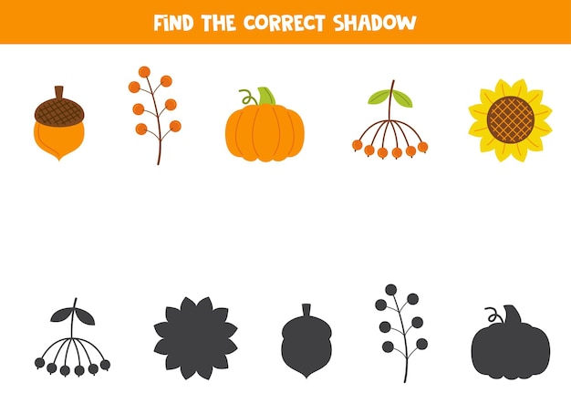 Find the correct shadows of cute autumn elements Logical puzzle for kids