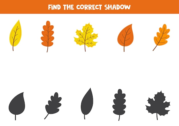 Find the correct shadows of cute autumn leaves Logical puzzle for kids