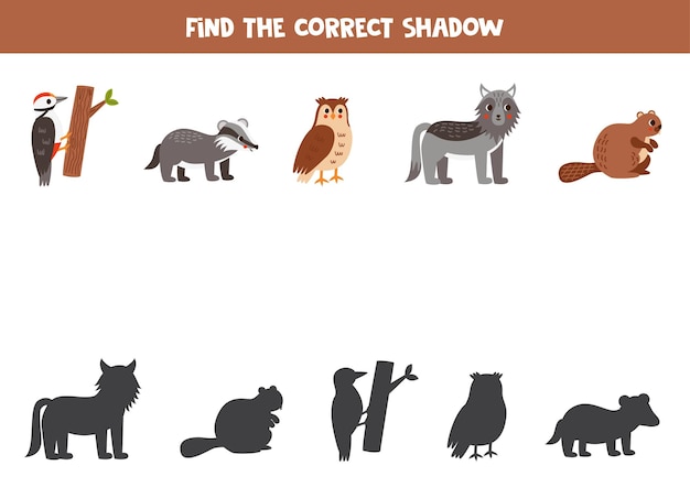 Find the correct shadows of cute forest animals Logical puzzle for kids