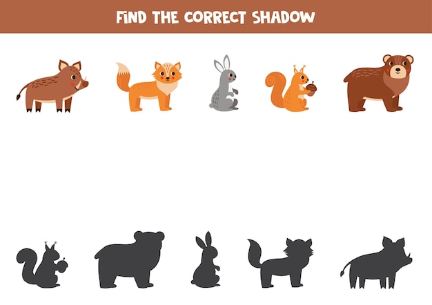 Find the correct shadows of cute forest animals Logical puzzle for kids