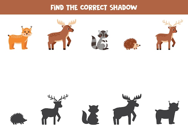 Find the correct shadows of cute forest animals Logical puzzle for kids