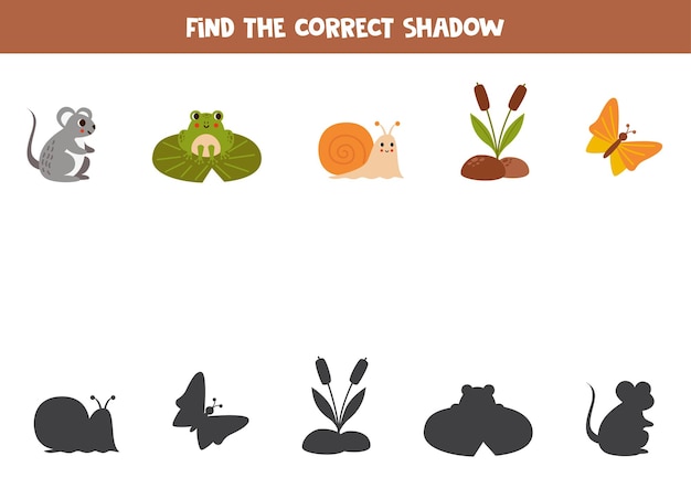 Find the correct shadows of cute forest animals Logical puzzle for kids