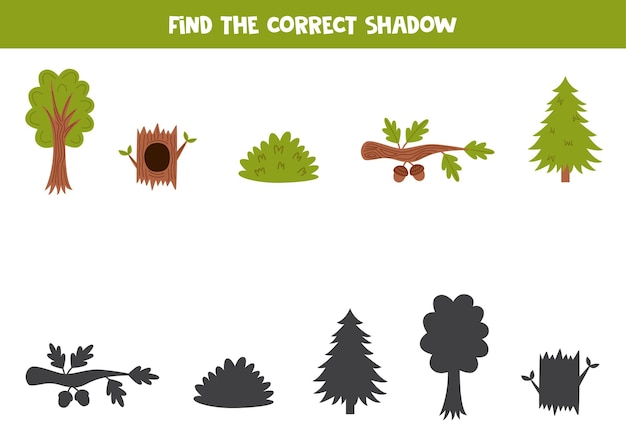 Find the correct shadows of cute forest elements Logical puzzle for kids