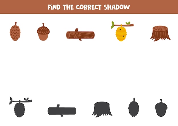 Find the correct shadows of cute forest elements Logical puzzle for kids