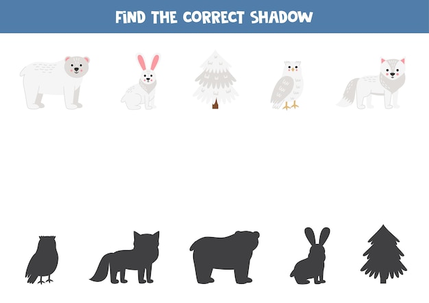 Find the correct shadows of cute polar animals Logical puzzle for kids