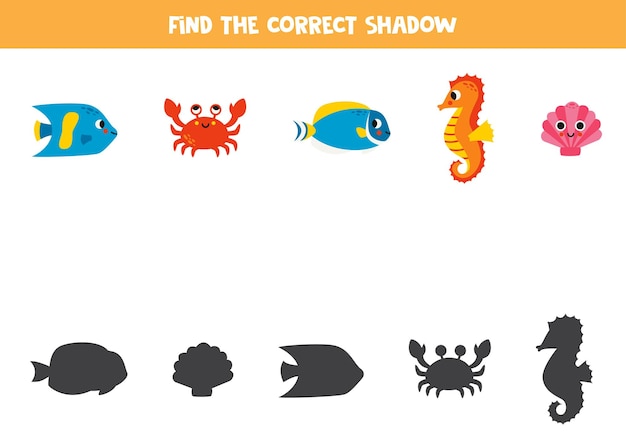 Find the correct shadows of cute sea fish Logical puzzle for kids