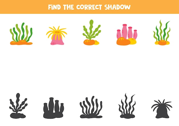 Find the correct shadows of cute sea plants Logical puzzle for kids