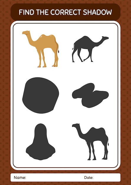 Find the correct shadows game with camel worksheet for preschool kids kids activity sheet