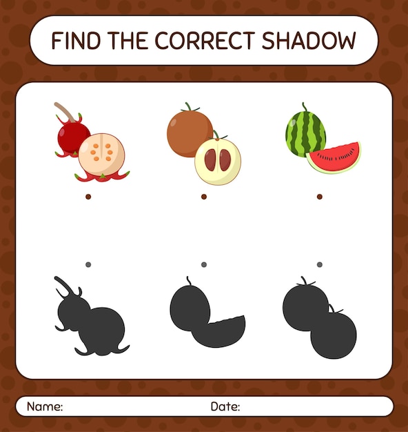 Find the correct shadows game with fruits. worksheet for preschool kids, kids activity sheet