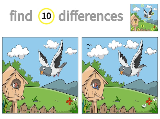 Find differences educational game for children vector illustration of pigeon family