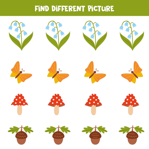 Find different woodland animal in each row Logical game for preschool kids