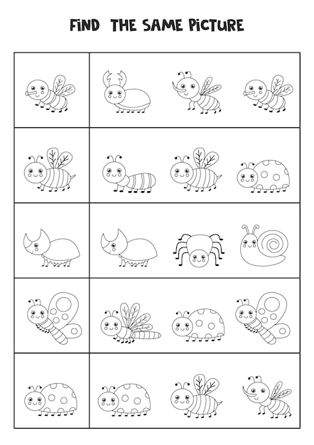 Find the same picture of black and white insects. Educational worksheet for kids.