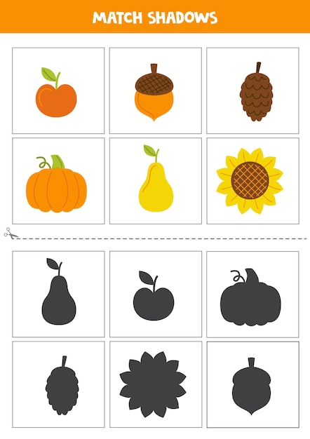 Find shadows of autumn elements Cards for kids