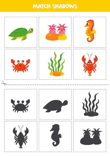 Find shadows of cute sea animals Cards for kids