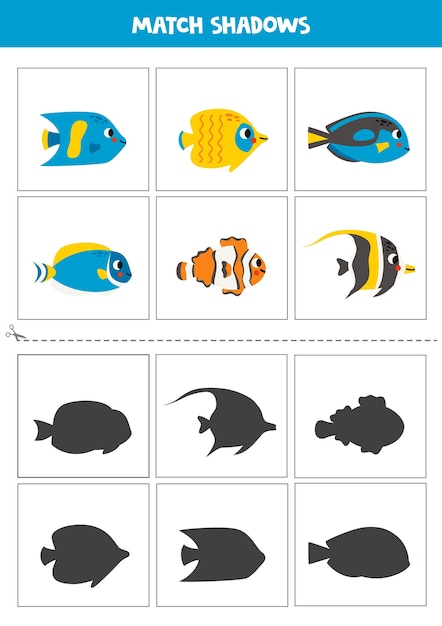 Find shadows of cute sea fish Cards for kids