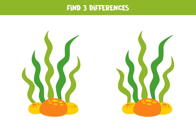 Find three differences between two cute seaweeds