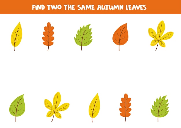 Find two cute identical autumn leaves Educational game for preschool children