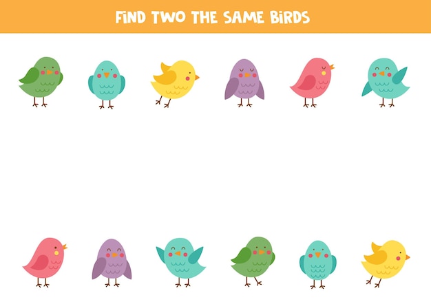 Find two cute identical birds Educational game for preschool children