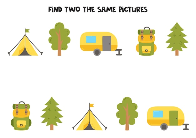 Find two cute identical camping equipment Educational game for preschool children