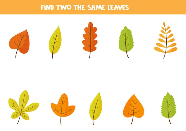 Find two identical autumn leaves. Educational game for preschool children.