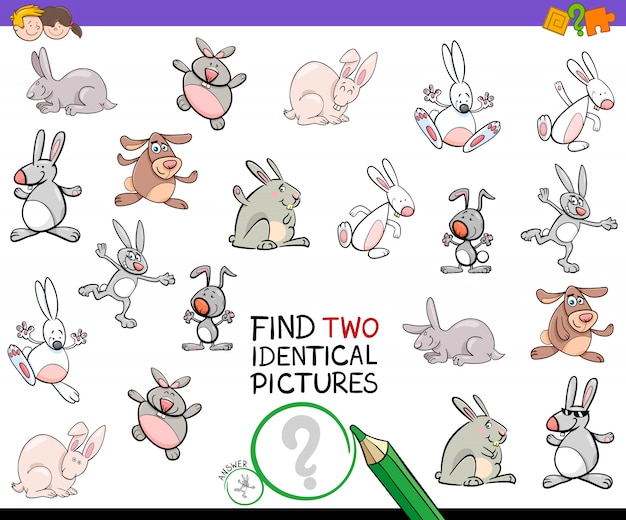 Find two identical cat pictures game for kids