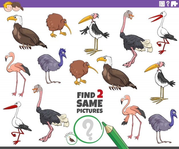 Find two same bird characters game for children