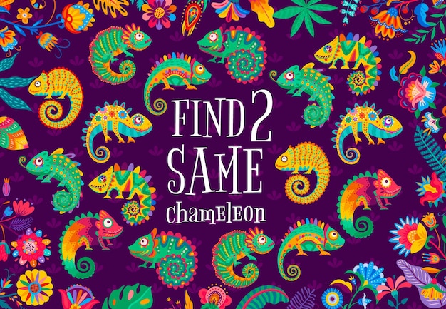 Find two same bright chameleon lizards kids game