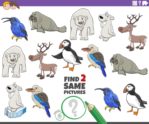 Find two same cartoon animal characters educational task