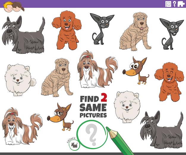 find two same cartoon purebred dogs educational game