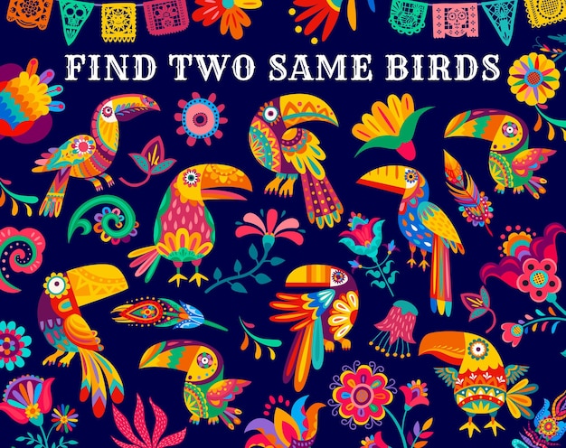 Find two same Mexican toucans, kids game riddle