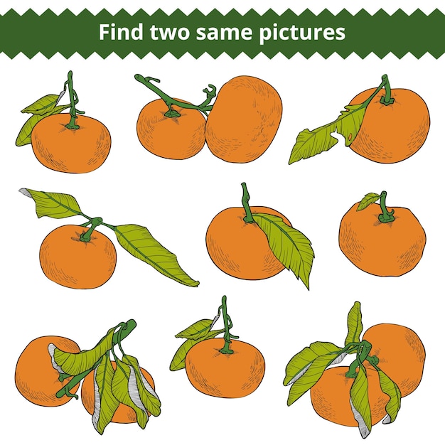 Find two same pictures education game for children Vector color set of mandarines