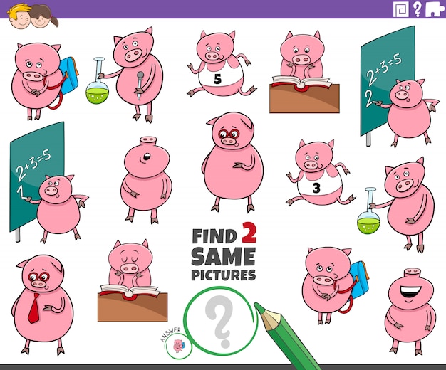 Find two same pig characters task for kids