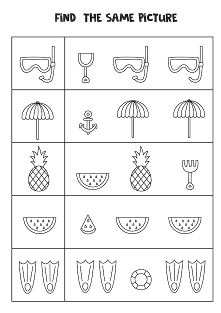 Find two the same summer elements. Black and white worksheet.