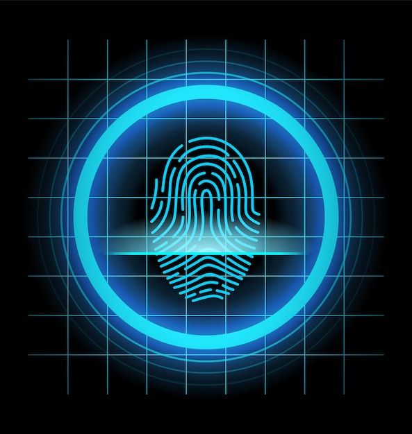 Fingerprint identification Scan fingerprint security or identification system concept Futuristic technology Biometric data design Security system based on thumb lines vector illustration