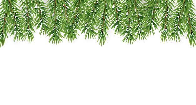 Fir Branches with Snow. Merry Christmas and New Year Winter Background. Vector Illustration EPS10